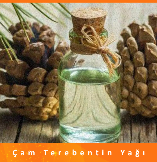 Çam Terebentin